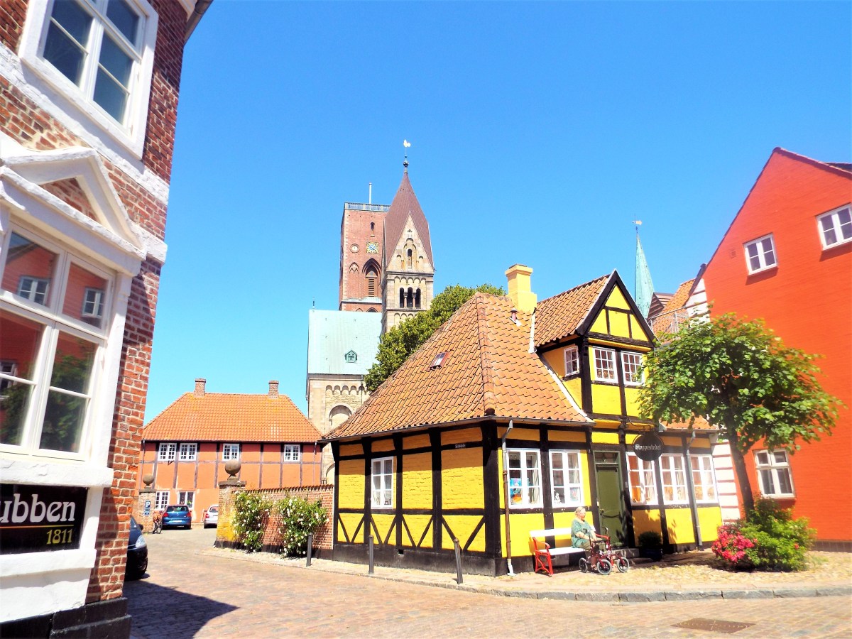 Around Ribe, Denmark