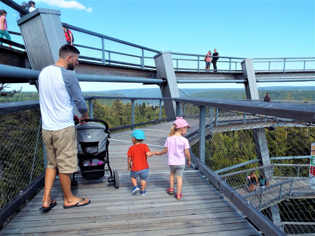 Road Trip Through the Black&nbsp;Forest