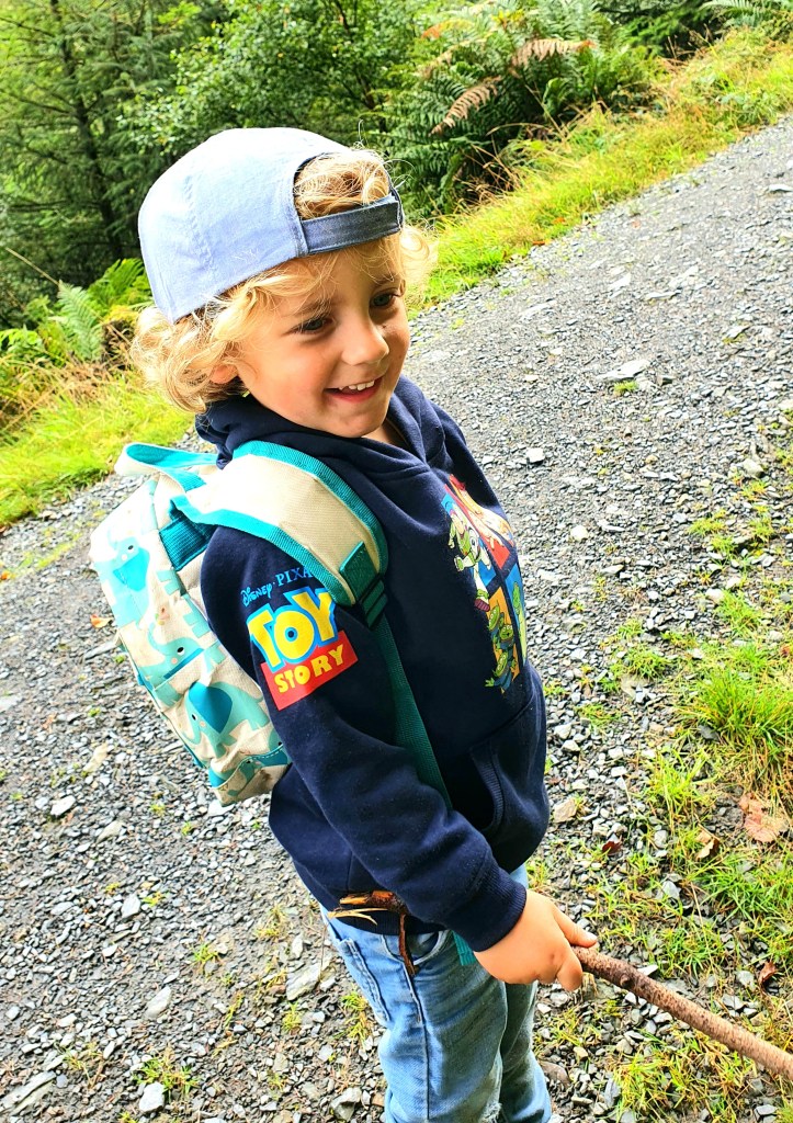 Skill Beck Trail - Lake District Walk