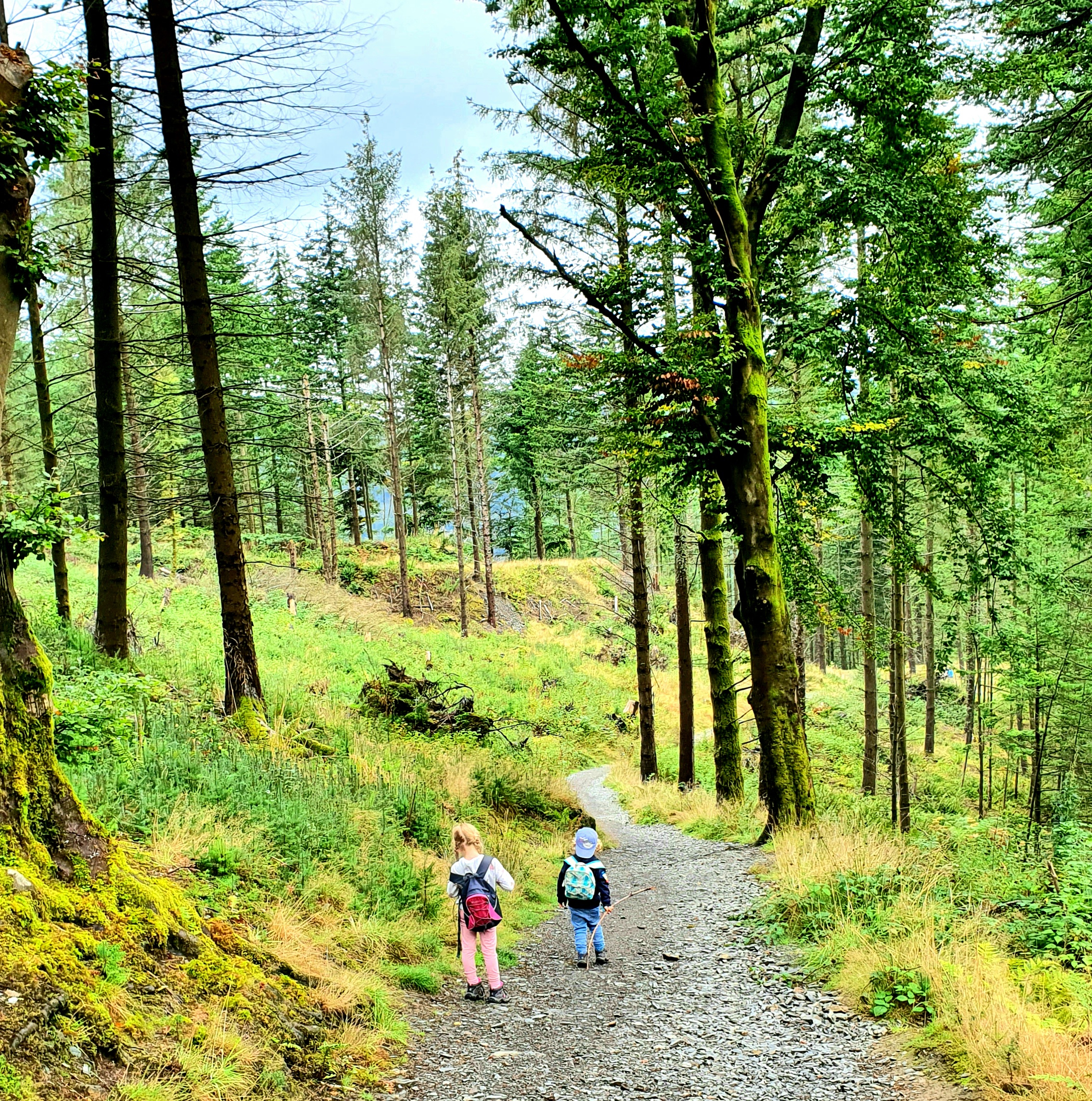 Skill Beck Trail - Lake District Walk